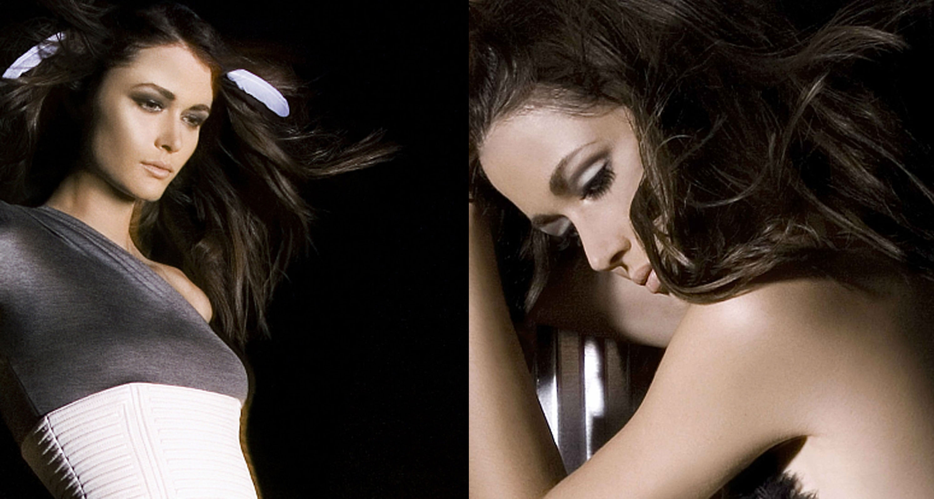 The Beauty Artist