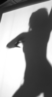 fresnel