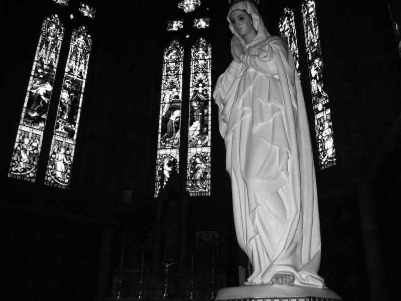 G I M production house