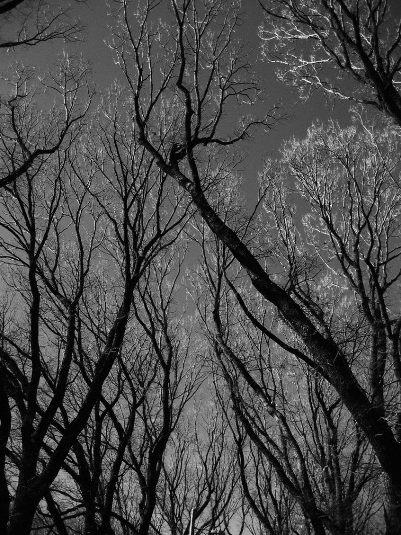 G I M production house