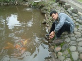 bintang safudin