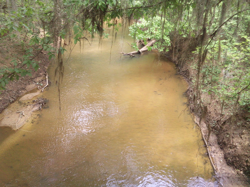 Roy Mead - country stream