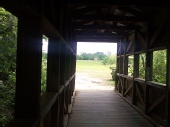 Roy Mead - covered bridge
