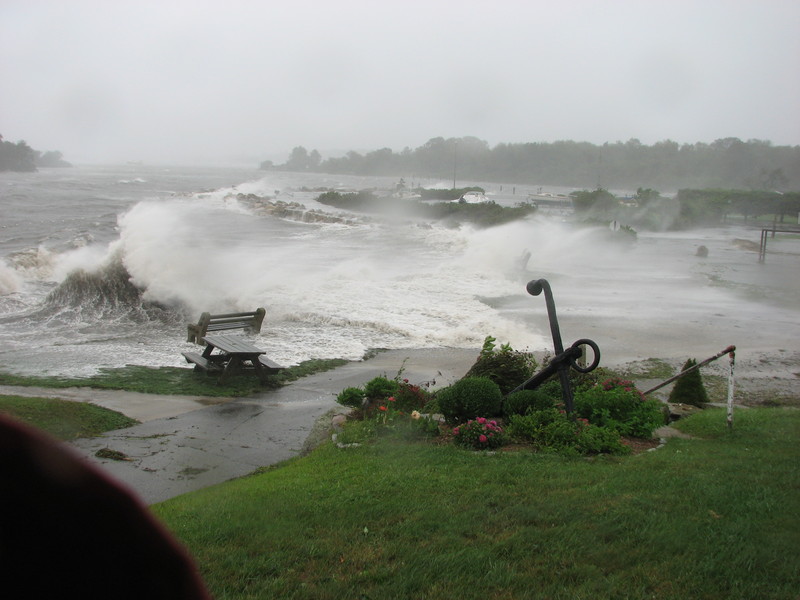 Max Thomas - Its a wee bit windy out there