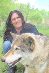 Henri - Henri & the Wolf