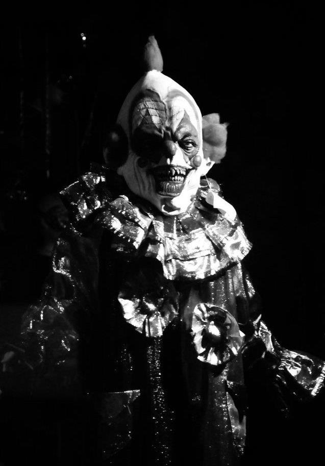 justinecottonphotography