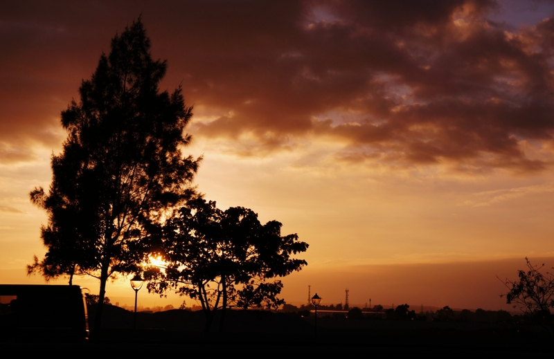 Gaea Rada - Sunset