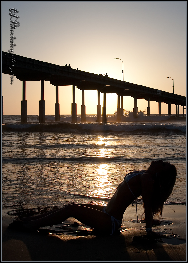 Charles Lee Photography