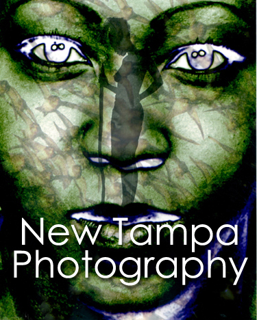 New Tampa Photography
