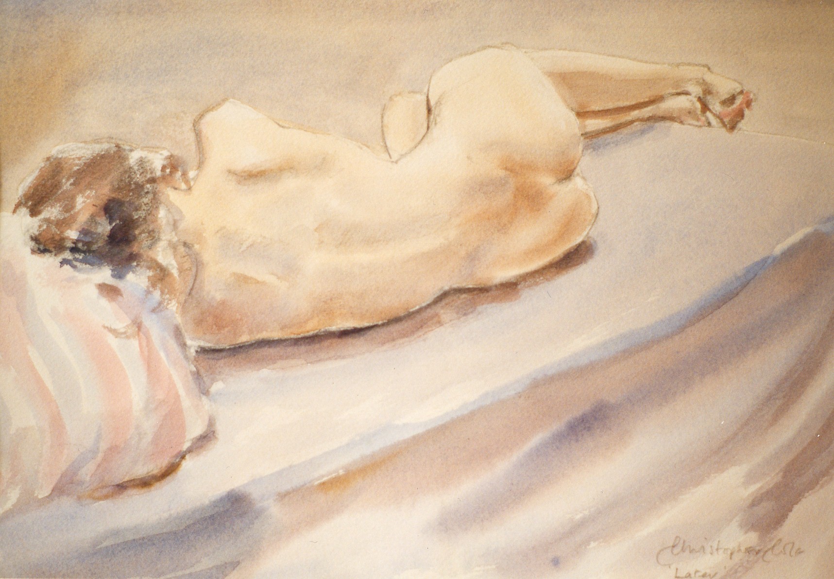 Christopher Cole - Later