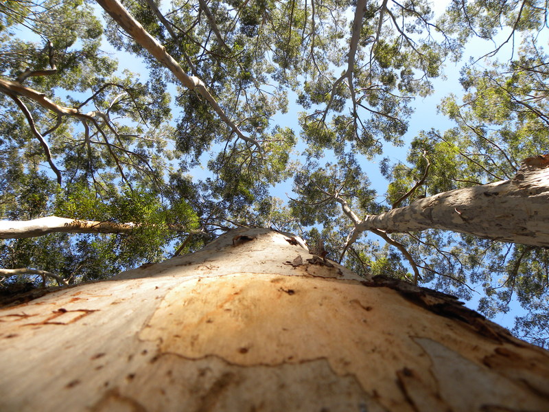 greg - Its a small world