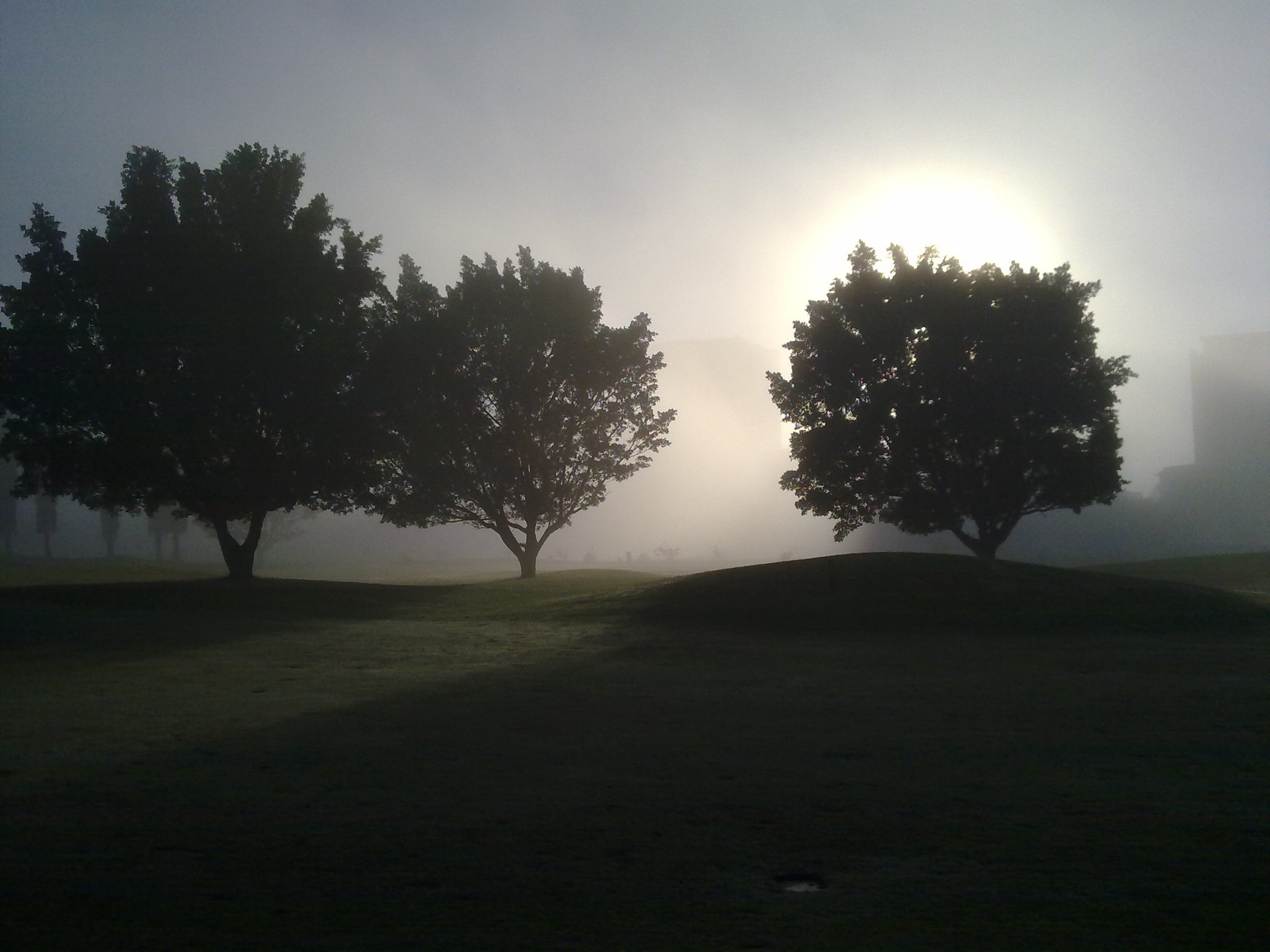 greg - Dawn