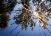 Austin N - Broken Reflections
