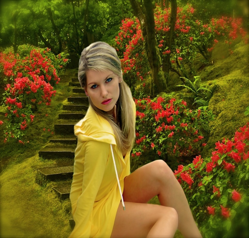 Photostationfl Studio