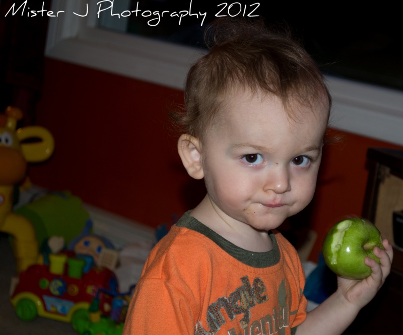 Mister J Photography