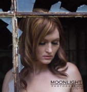 Moonlight Photography