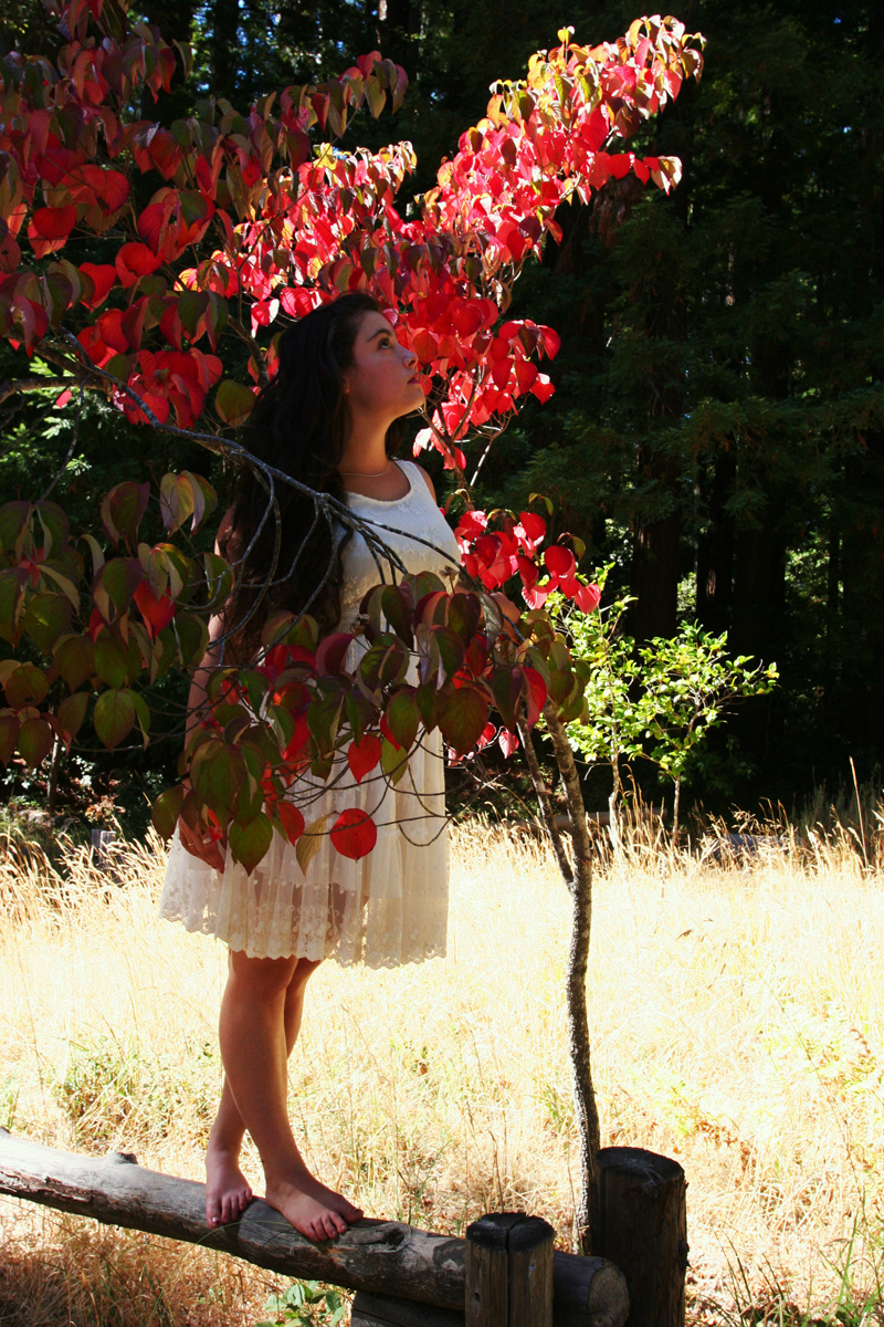 Madrone Workshop