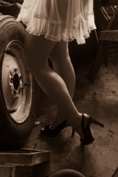 Grey Beard Photography