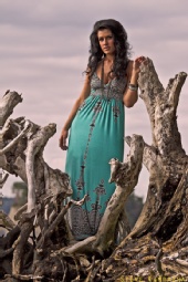 Steve Campagna - Sarah