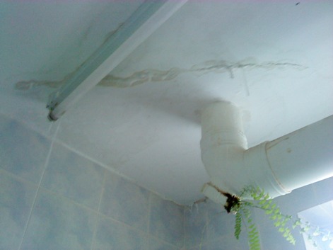 avg1981 - corruption?