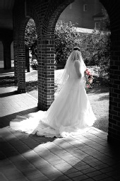 Knightflyer Photography