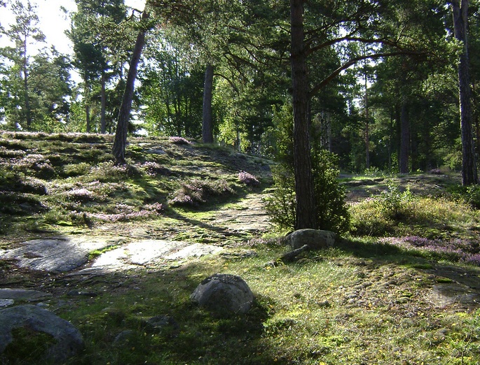 Andrea  - Slope