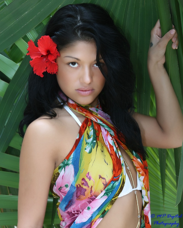 MP Digital Photography