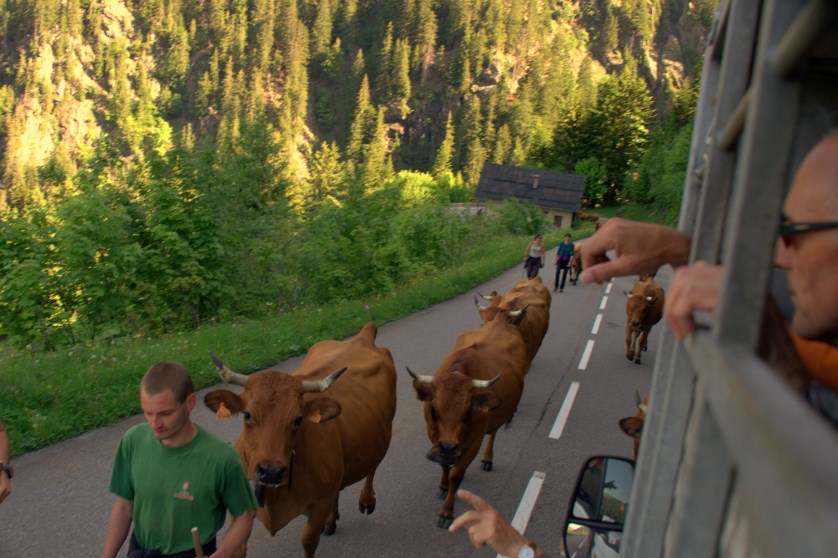 Moi LeRoi - Alps Switserland 2