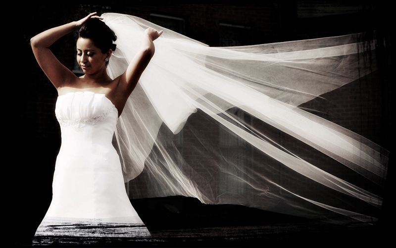 Intrepid Photography