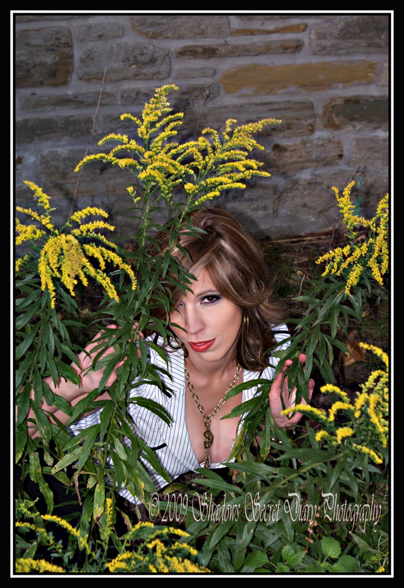 Beyond the flowers.......